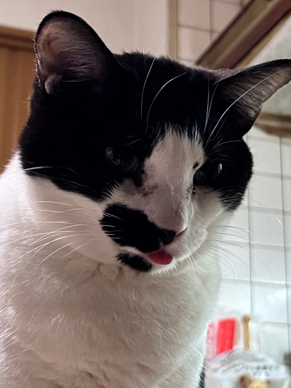 個性的なオトナネコヲ♂ サムネイル2