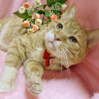 お子さんも歓迎◎犬みたいに人懐っこい『ポチ』