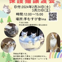 なごの家保護猫譲渡会in手むすび舎 ina 伊奈町