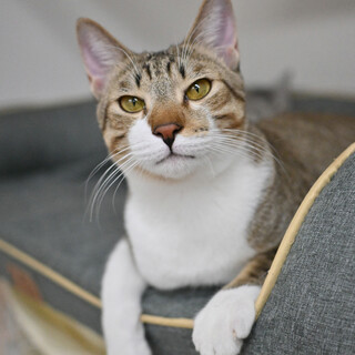 ルーク：施設一の運動量！の男子。