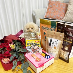 ククさんのうちの子記念　丸9年