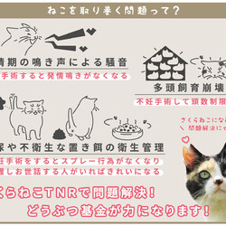 「生き抜いて　一世一代　さくら舞う -さくらねこの日」サムネイル2