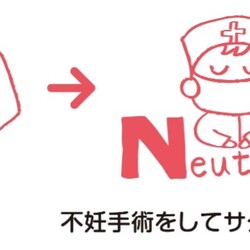 「生き抜いて　一世一代　さくら舞う -さくらねこの日」サムネイル3
