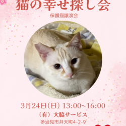 猫の幸せ探し会