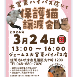 秘密結社ねこのひげ♡保護猫譲渡会