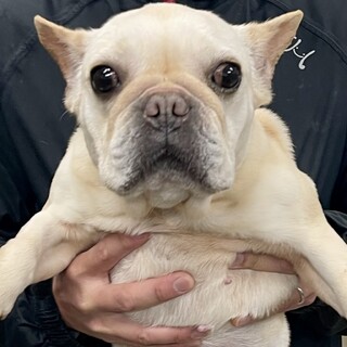 24-W03　とっても良い子白玉ちゃん１