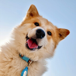 もっぴー　男の子