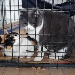 「アレルギー対策のため、ご協力」サムネイル2