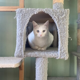 ちょっと人見知りな女の子♡