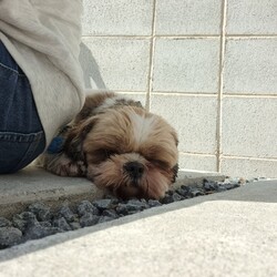 「お外でリフレッシュすると良いコトがある♪」サムネイル3