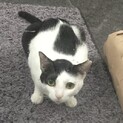和風美人でスレンダーな甘えん坊