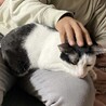和風美人でスレンダーな甘えん坊 サムネイル5