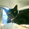 ゴロスリ♡人が大好きな黒猫女子 サムネイル2