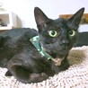 ゴロスリ♡人が大好きな黒猫女子 サムネイル3