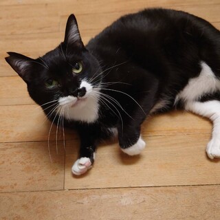 超甘えっ子の靴下履いた女の子！