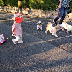 「犬の母子手帳を見返していると、、」サムネイル3