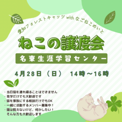 保護猫譲渡会　名古屋市名東区 サムネイル1