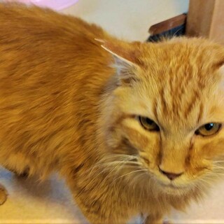 人が大好き！甘えたのちゃ太郎君