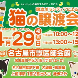猫の譲渡会☆13団体出場☆矢場町駅4分