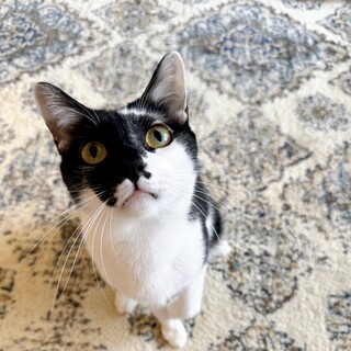 ෆ⃛ほっこり男子ෆ⃛なかだいくん