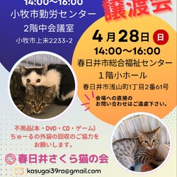 保護猫の譲渡会in小牧