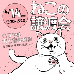 ●4/14(日)猫の譲渡会●名古屋市守山区●