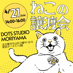 ⬛︎4/21(日)猫の譲渡会⬛︎名古屋市守山区小幡駅前！