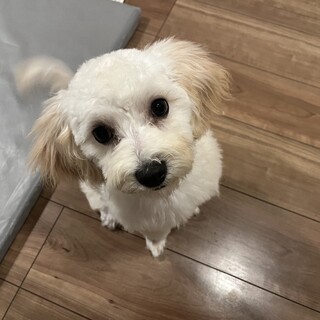  ※必ず条件など確認してから応募をお願いします。