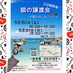 葉山ねこねこランド保護猫譲渡会