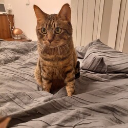 「【ちゃたん君】【凪君】の医療について」サムネイル3