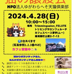 第10回猫の譲渡会 at 湯河原町
