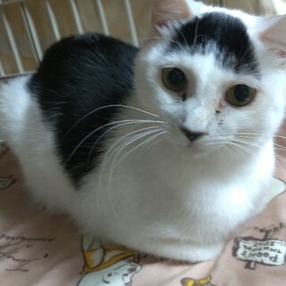 ワカメちゃん1歳家族ができました！