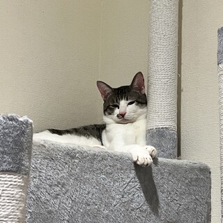 とっても可愛い男の子