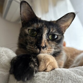 超！甘えん坊のウミ！