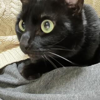 虐待されていた子、それでも人を信じてます