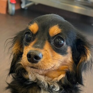 元気なカイン君　  