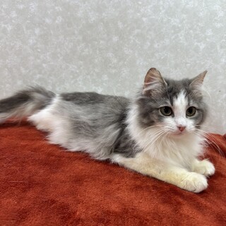 姉妹で参加‼️何時も一緒の仲良しこよし❤銀花