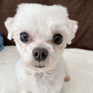 いっぱい甘えたいからゆっくり仲良くなってね♡