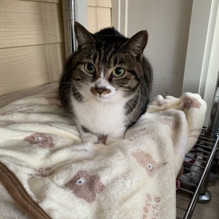 ありがとうございました★穏やかなジュニアちゃん