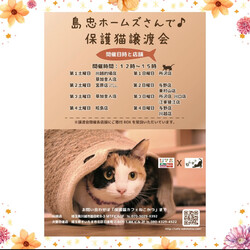 島忠ホームズ草加舎人店保護猫譲渡会