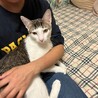 【マサ】おかげさまで里親さまが決まりました サムネイル2