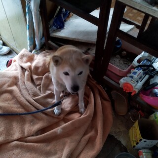 アパートに引っ越しする為