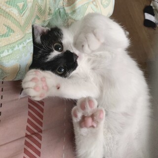 やんちゃで甘えん坊な女の子