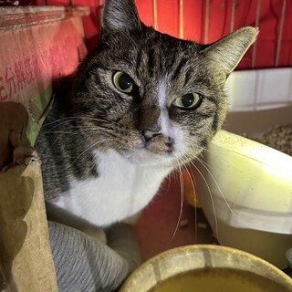 甘えん坊な　エルザくん