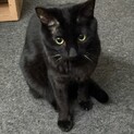 穏やかで優しい性格のみそかくん