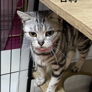 人見知りがありますがお転婆な女の子