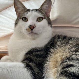 可愛い「ゆうひ」君