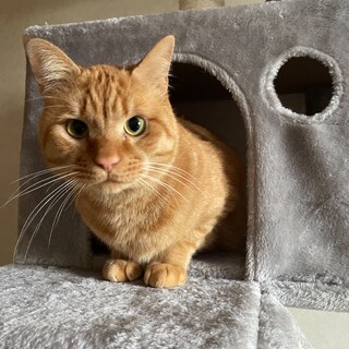 人が大好きな男の子