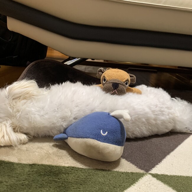 Nnkhbのカバー写真