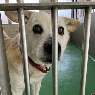 ありがとうございました！